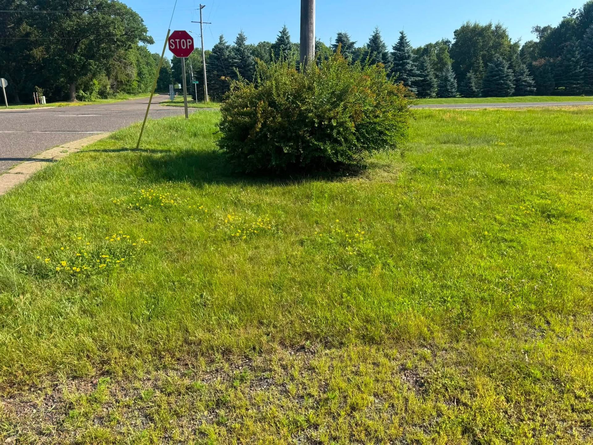 Before and after - before