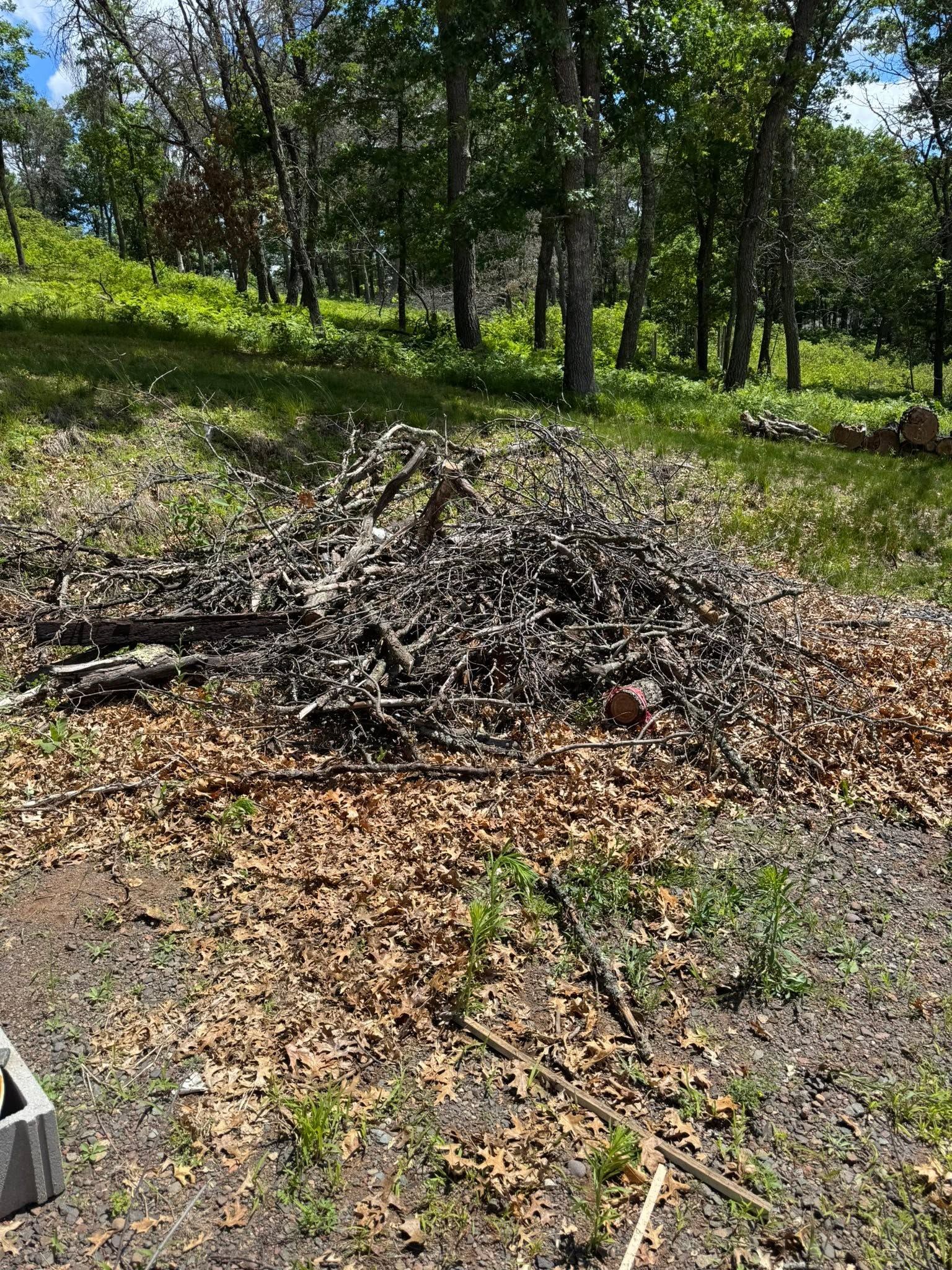 Before and after - before