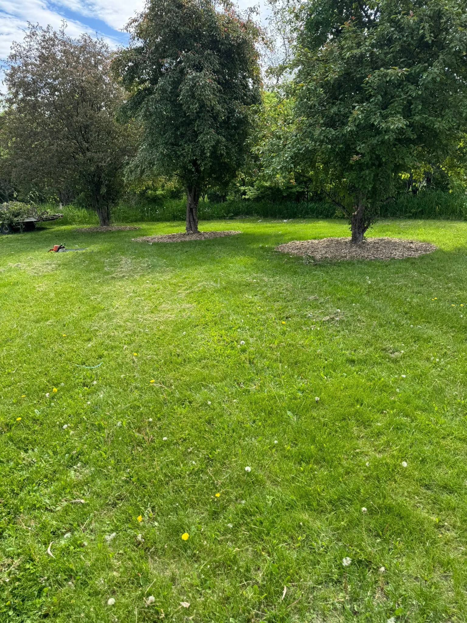 711905828 122099465799350743 1005100077248089224 n